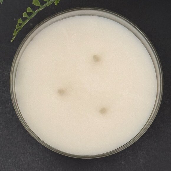 BBW Springtime In Paris Bath & Body Works 3 Wick Candle - Picture 7 of 10